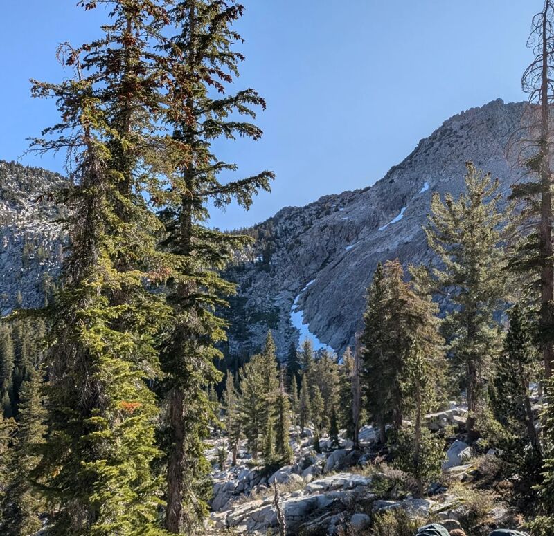 The image shows a mountain landscape with tall pine trees in the foreground. The trees are lush and green, contrasting with the rocky terrain and patches of snow on the mountain in the background. The sky is clear and blue, suggesting a sunny day. The scene evokes a sense of wilderness and natural beauty.